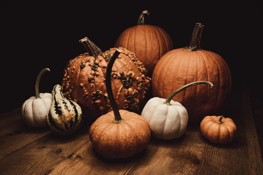 Maravillas Otoñales: Descubre las Calabazas, Desde Nutrición hasta Delicias Culinarias