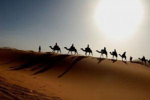 camellos por el desierto