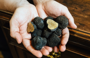 trufas en la mano