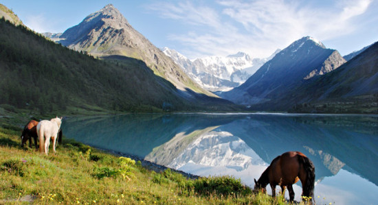 Altai