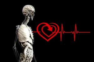15-datos-interesantes-sobre-el-corazon-humano01.jpg