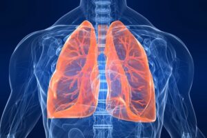 15-datos-interesantes-sobre-el-sistema-respiratorio-humano01.jpg