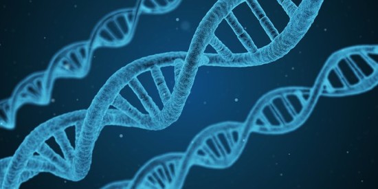 15-datos-interesantes-sobre-la-biologia01.jpg