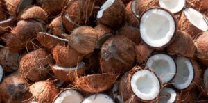 15-datos-interesantes-sobre-los-cocos01.jpg