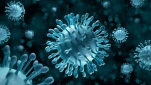 15-datos-interesantes-sobre-los-virus01.jpg