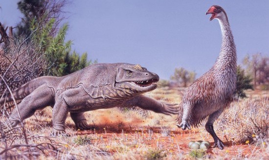 16-datos-interesantes-sobre-animales-extintos01.jpg