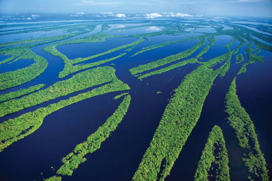 20-datos-interesantes-sobre-el-rio-amazonas01.jpg
